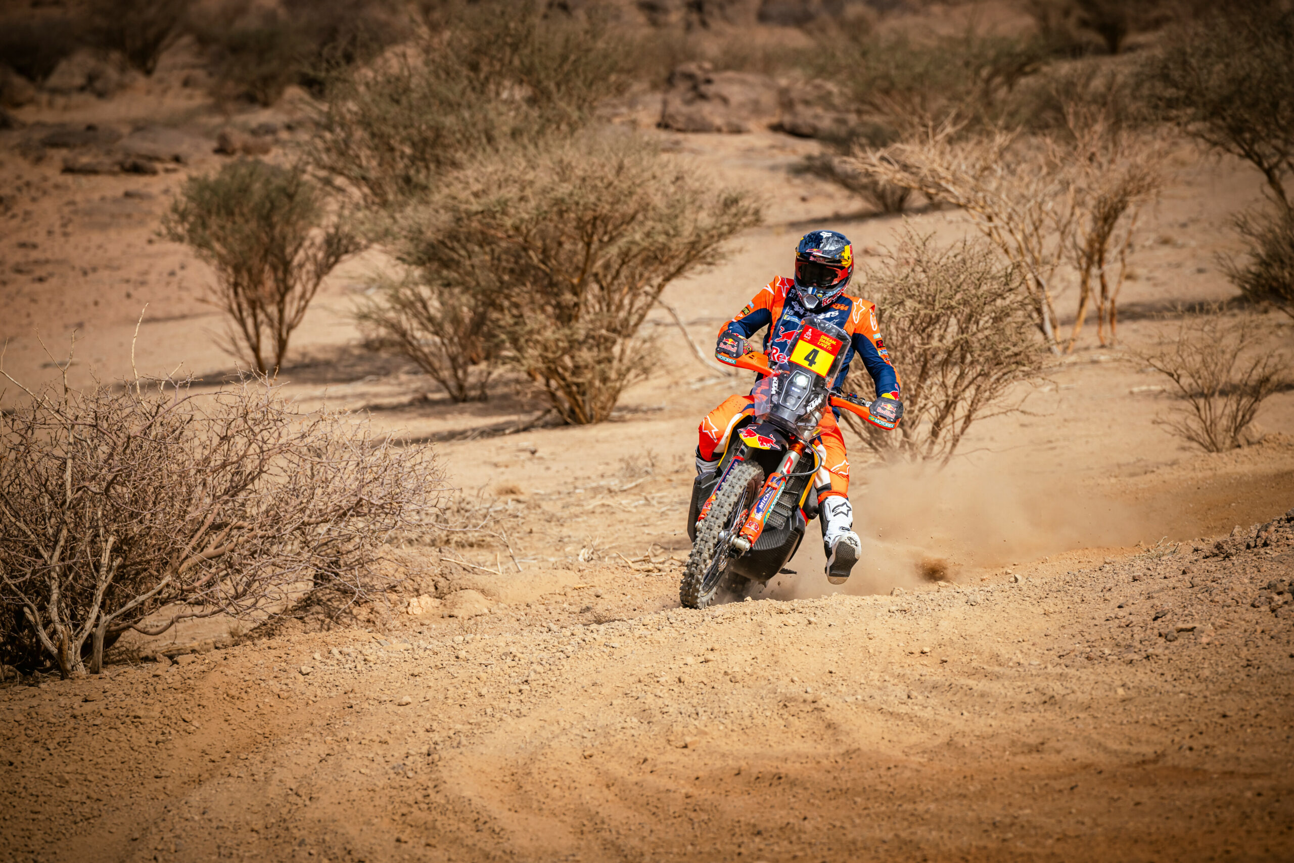 Daniel Sanders (AUS) of Red Bull KTM Factory Racing races during the prologue stage of Rally Dakar 2025 in Bisha, Saudi Arabia on January 03, 2025 // Marcelo Maragni / Red Bull Content Pool // SI202501030083 // Usage for editorial use only //